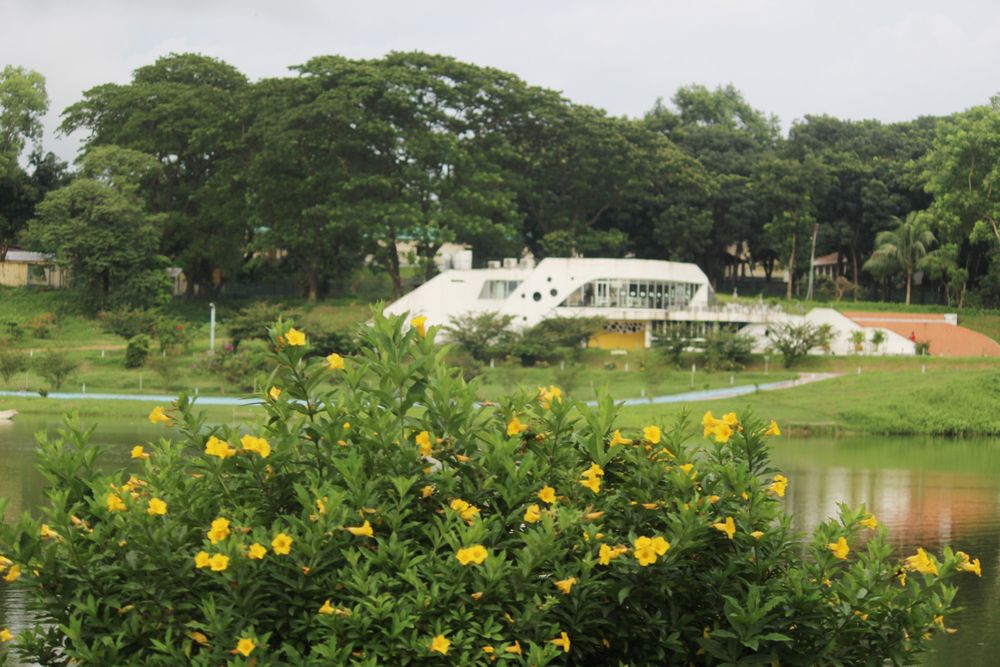 CumillaLG's tweet photo. Comilla Roop Sagar a wonderful Park at Comilla Cantonment area...
#ComillaLocalGuides #LocalGuides #Google #GoogleMaps #GoogleEarth https://t.co/XnC9OaZK0B
