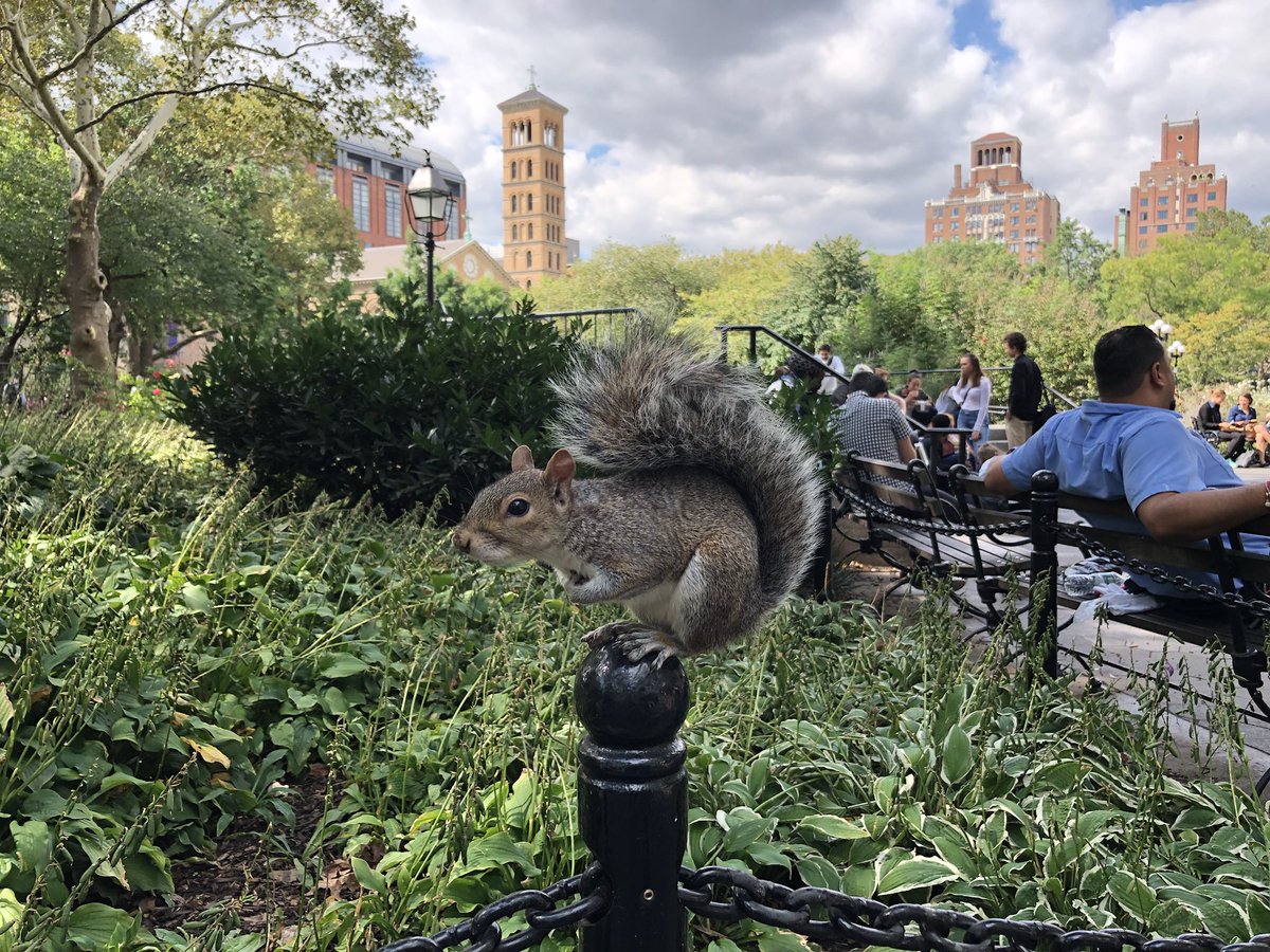 MKBHD's tweet image. Shot on iPhone 8+. Review video in the works 👍🏽