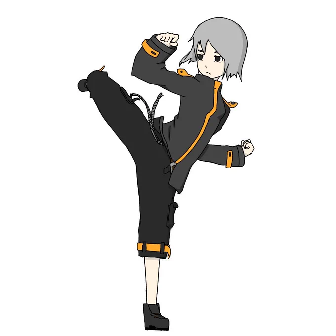 ハイキック!