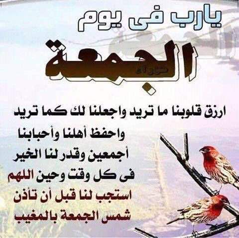 امجدمحمد (@am8572721) on Twitter photo 