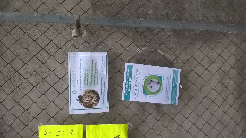 LigaLecheCuerna's tweet photo. La Liga de La Leche apoyando a madres en Morelos para que amamanten en emergencias https://t.co/eVoQTEF4s8