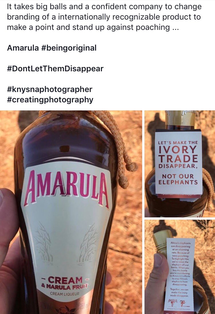 Savannah Munks tweet media