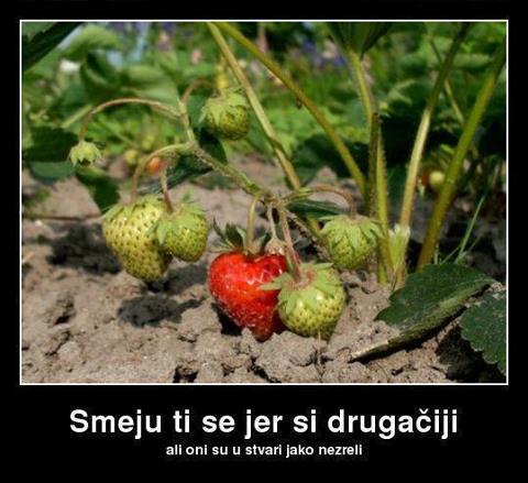 IInovan's tweet photo. #bgd #izbori #bitisvoj https://t.co/8vqGtemHyl