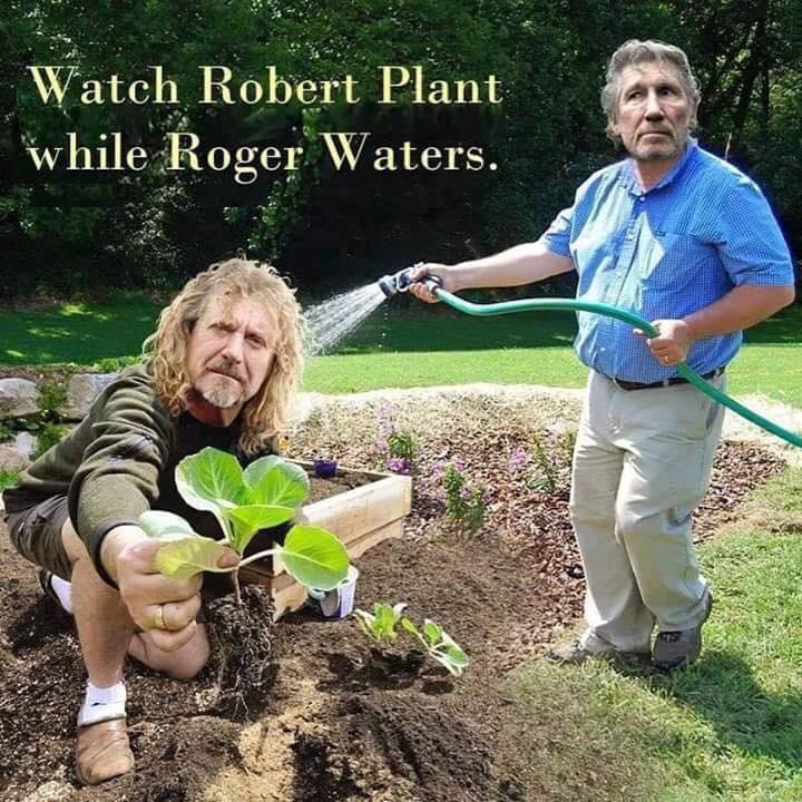 #dying #idontneedmuch #lastworkday #RobertPlant #RogerWaters #badbutfunny