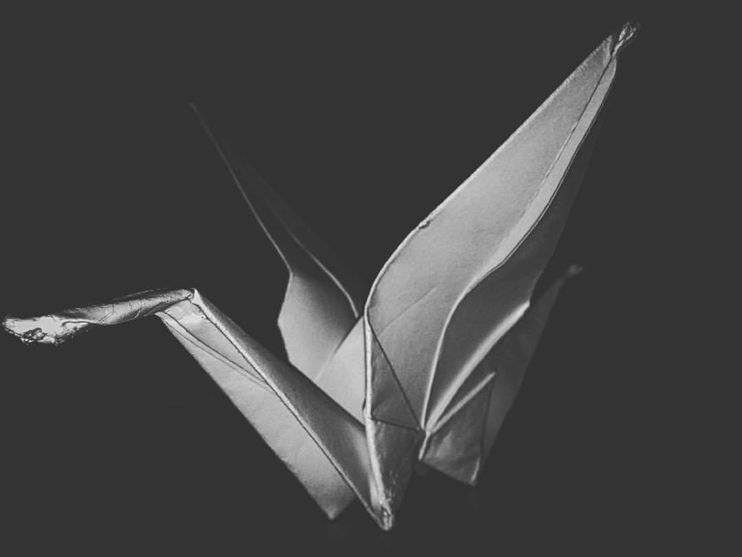papiergrue's tweet photo. 🎬PAPIER GRUE🎬

✒️Nos encargamos de la producción,dirección y edición de proyectos audiovisuales,(eventos, videoclips, publicidad, documentales, cortometrajes,etc). https://t.co/X8rpHOyIRW