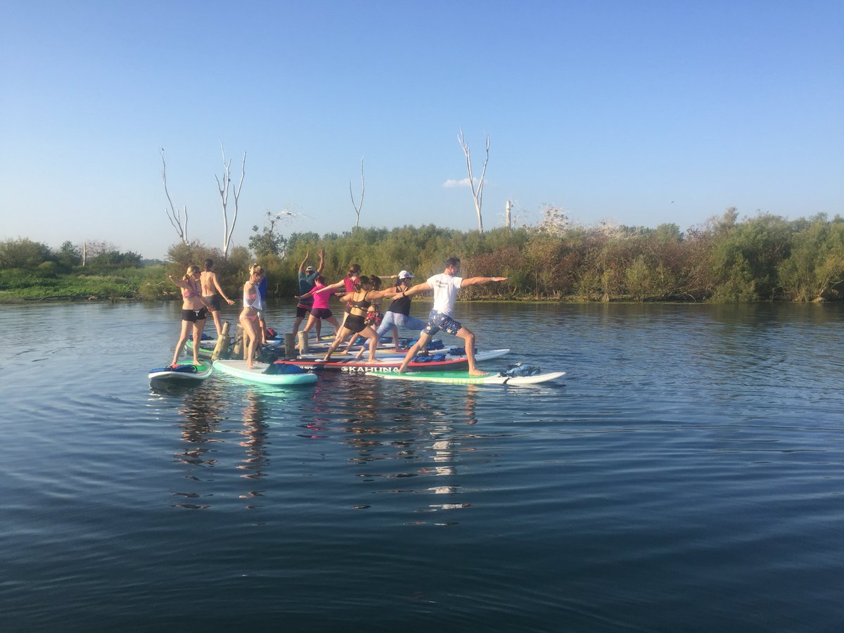 SurfsetTO's tweet image. 