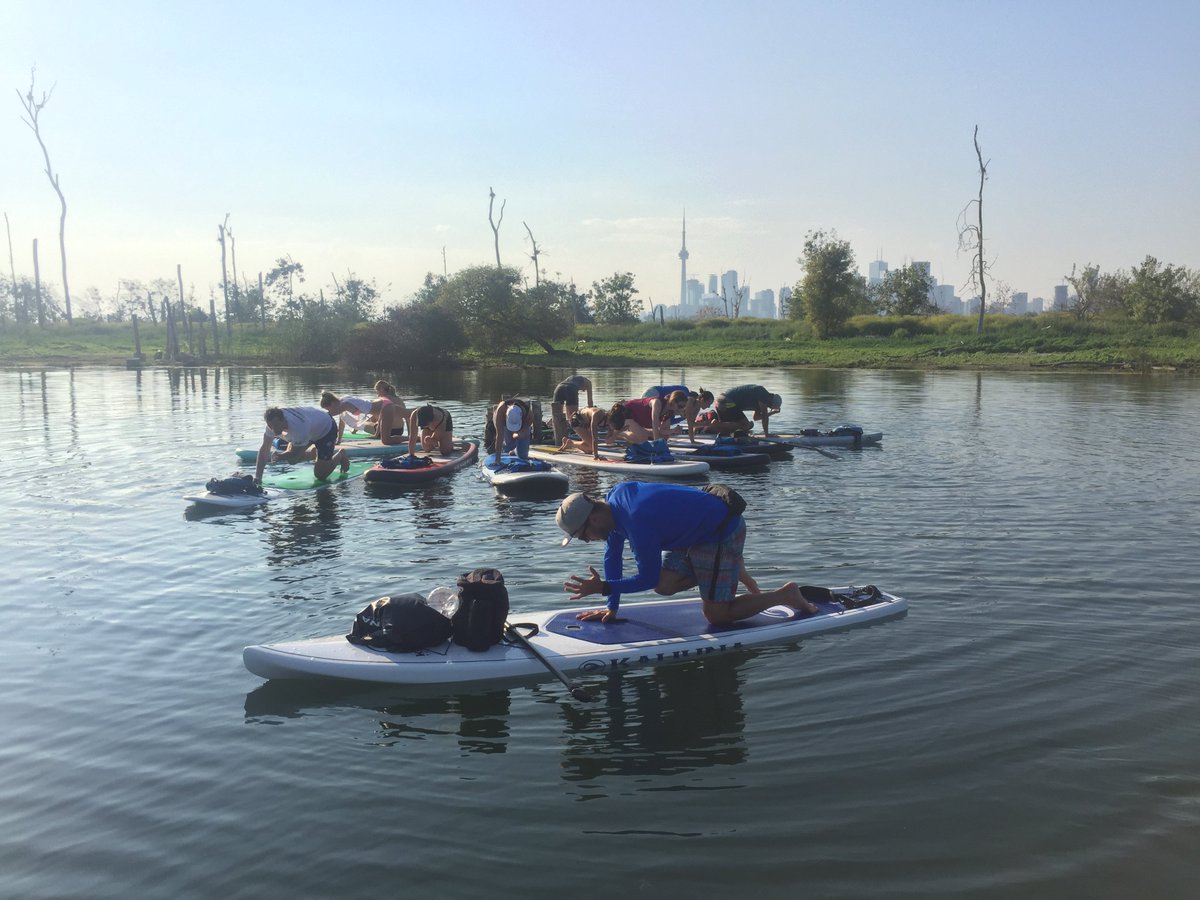 SurfsetTO's tweet image. 