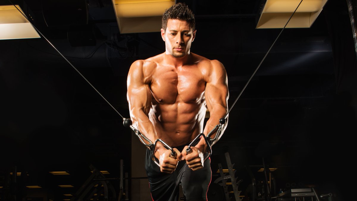 10 Best Chest Exercises For Building Muscle : Top 10 Bodybuilding Tips – Studies