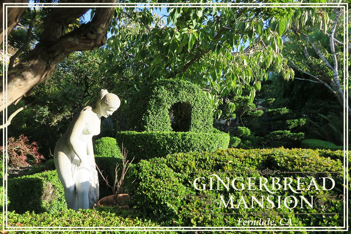 Gingerbreadbnb's tweet image. #Fall is a wonderful time to visit, things are beautiful and dry! #bedandbreakfast #garden #autumn #california