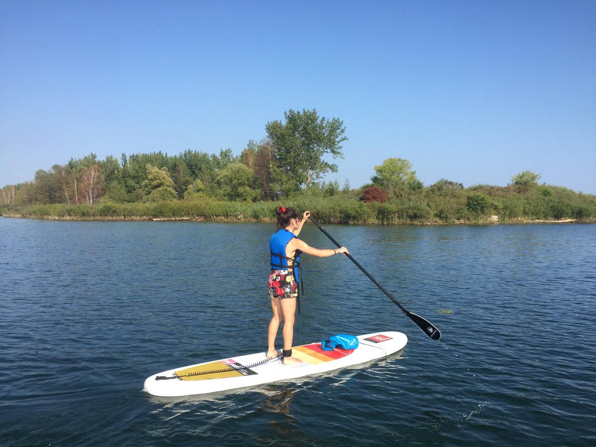 SurfsetTO's tweet image. 