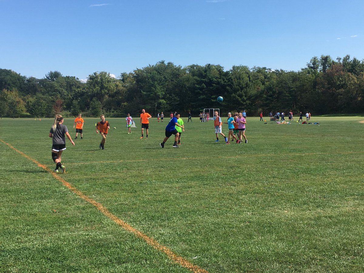 Ms. Wedmore tweet media