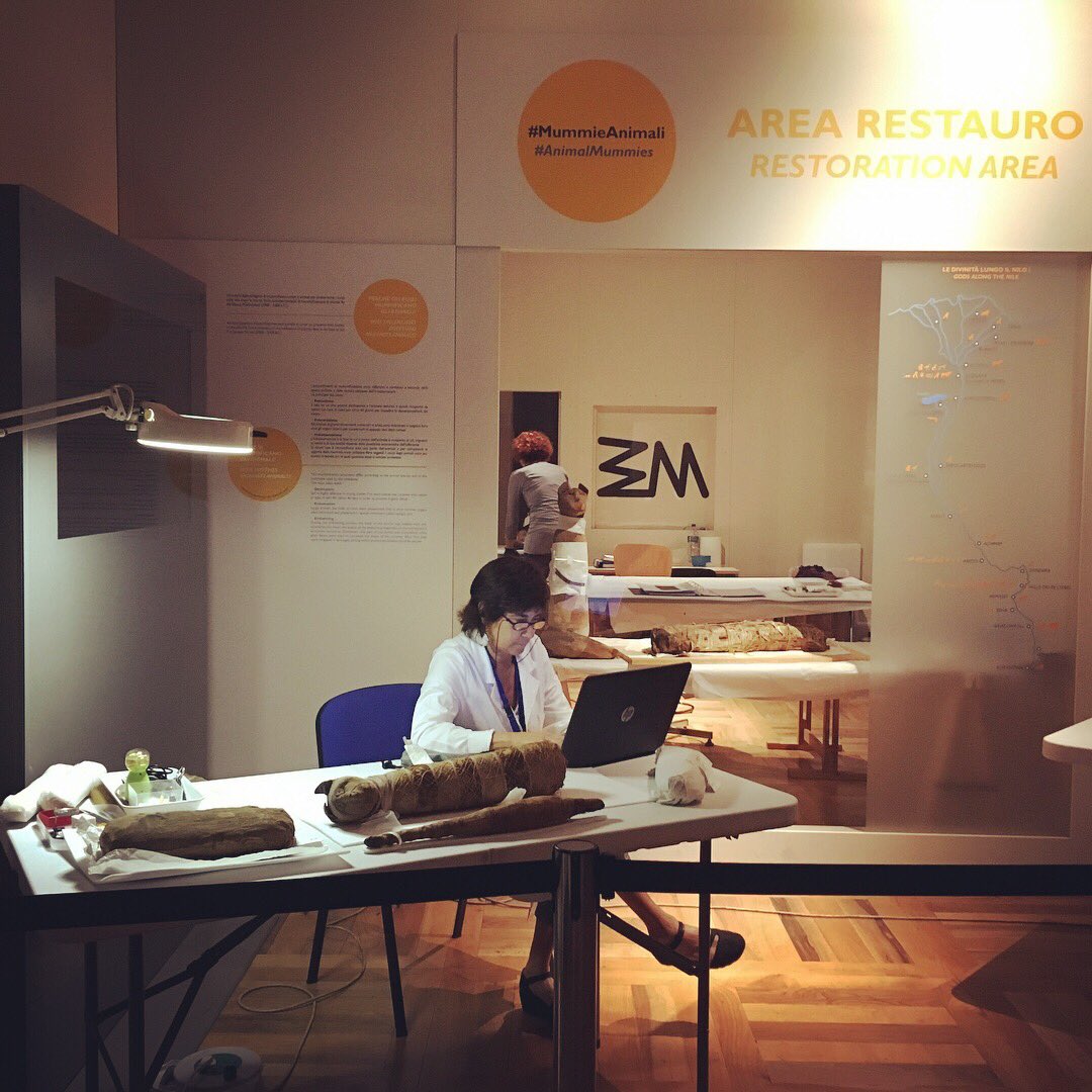 NotteDeiRicercatori tweet media