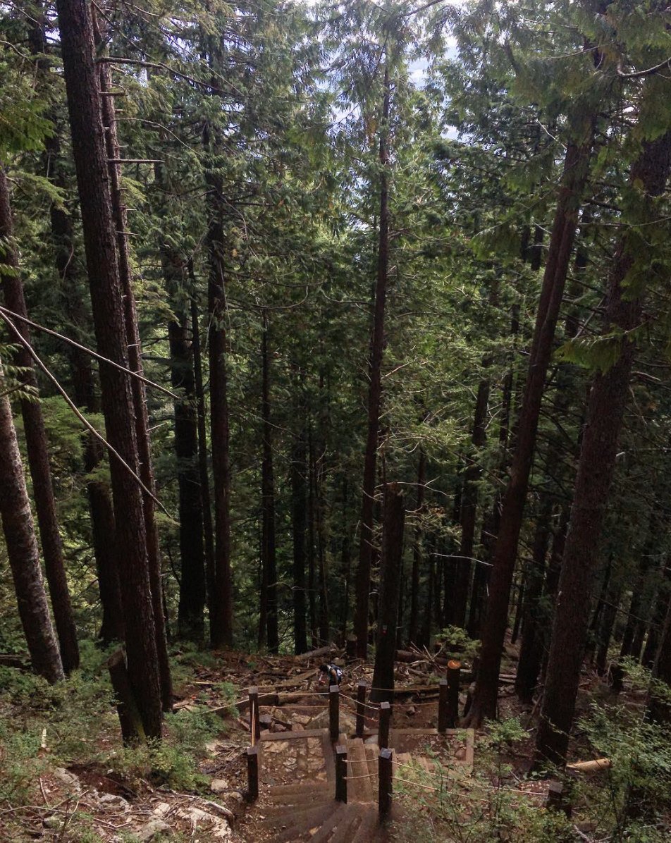 Grind For Kids (@grindforkids) on Twitter photo So far 3900+ Grinds completed & $60K+ raised for <a href="/BCCHF/">BCCH Foundation</a>! Thank you for stepping up for BC's sick kids: grindforkids.com #grousegrind So far 3900+ Grinds completed & $60K+ raised for <a href="/BCCHF/">BCCH Foundation</a>! Thank you for stepping up for BC's sick kids: grindforkids.com #grousegrind