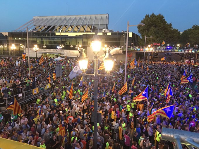 Visualizza l'immagine su Twitter