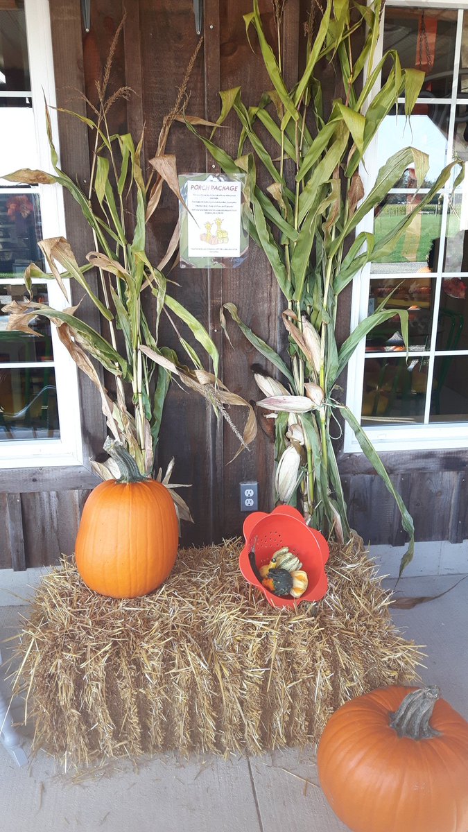 LeapingDeerFarm's tweet image. Porch packages available in store! Buy now for the best collection of pumpkins and gourds #ingersoll #leapingdeer #oxfordcounty #porchdecor