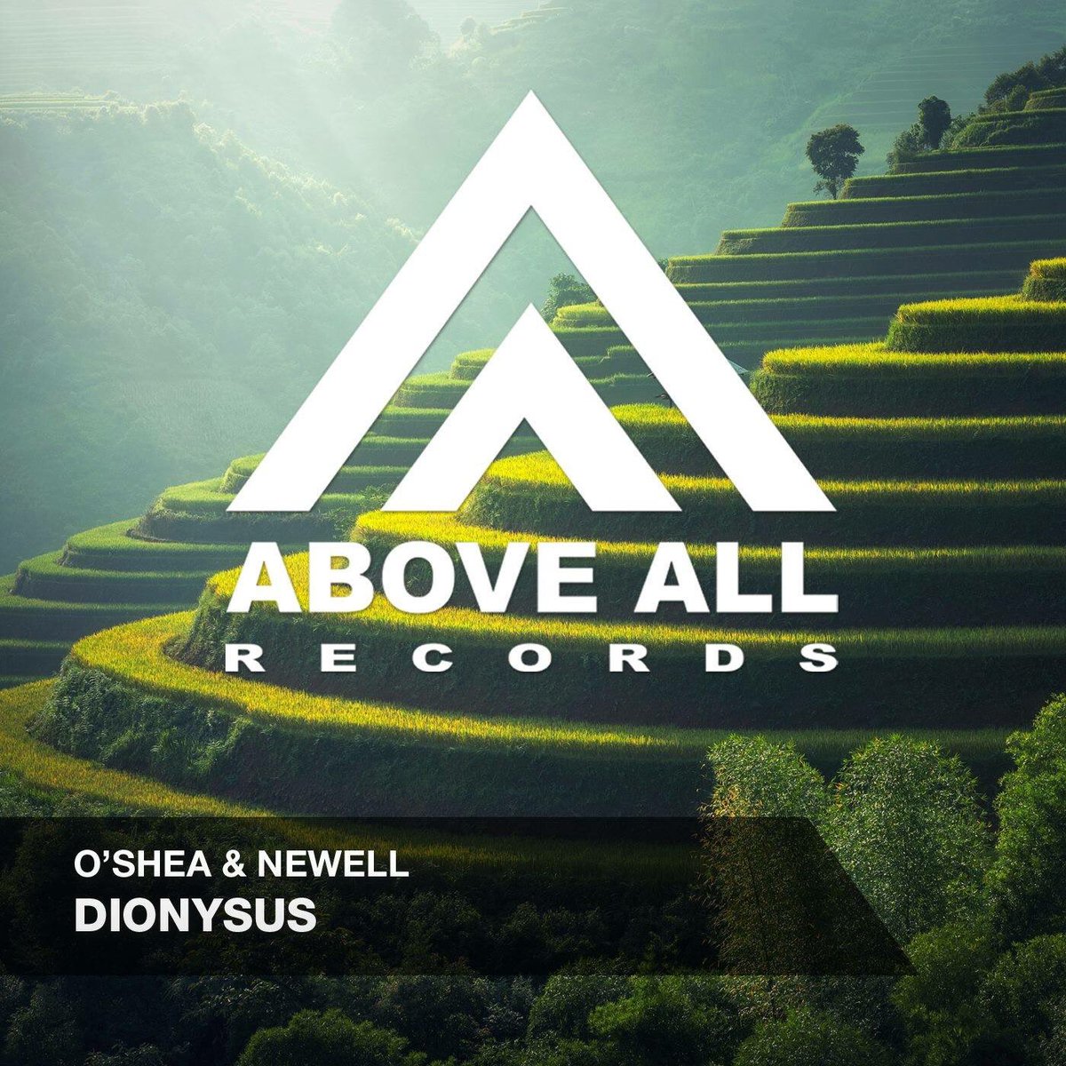 Duncanenewell's tweet photo. About time for some new music, folks! OCT1-16TH-2017 @OShea_Newell @AboveAllRec  @ianosheamusic let's do this 😃 #trancefamily #trance https://t.co/SUhSHO02sb