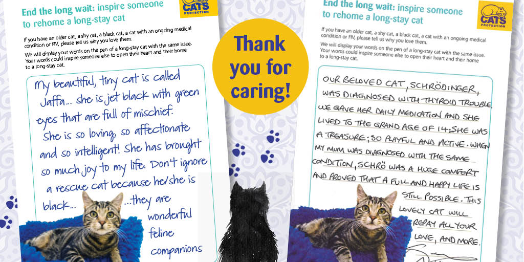 Cats Protection On Twitter Thank You To Everyone Who Got Behind Our Longstaycat Appeal Read Some Great Supporter Stories In Our Blog Https T Co 3f35lxyssd Https T Co Ubw49zjuyx
