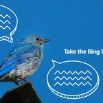 Big changes are afoot in this little bird's world. Discover the story http://www.bing.com/search?q=bing%20trends%20quiz&FORM=MH14G1&OCID=MH14G1&wt.mc_id=MH14G1 #BingSearchTrends quiz