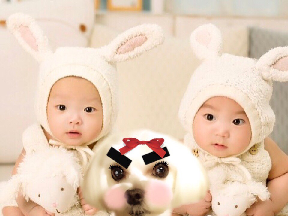 <a href="/Nakagawa52Yumi/">「痛いところに触らずに改善する」痛みの根本改善の専門家　中川 由美</a> <a href="/fk4403/">houseinfo</a> <a href="/aya_chan56/">Aya</a> <a href="/namigd999/">na</a> @mahora_ma <a href="/hirarinx/">平野秀昭</a> <a href="/trick66trick/">Hiroko</a> #socialmedia #Influencer