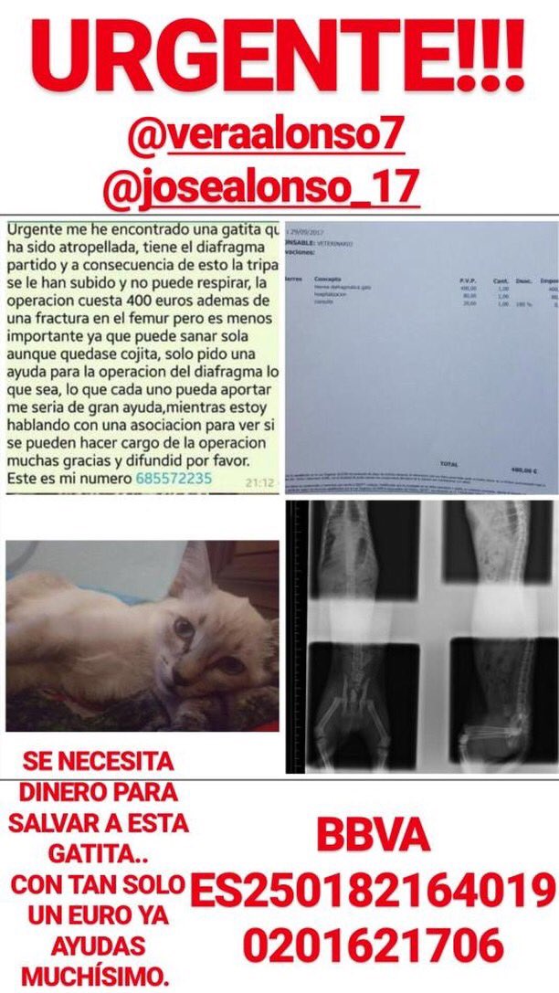 Stoneismynamee's tweet image. Chicos