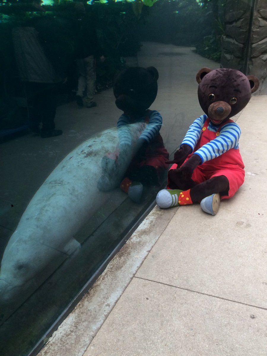 Ne ratez pas la visite de Petit Ours Brun demain au Parc Zoologique de Paris 🐻