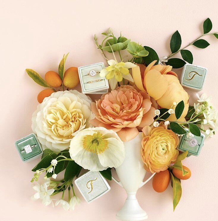 d r e a m r i n g tweet media