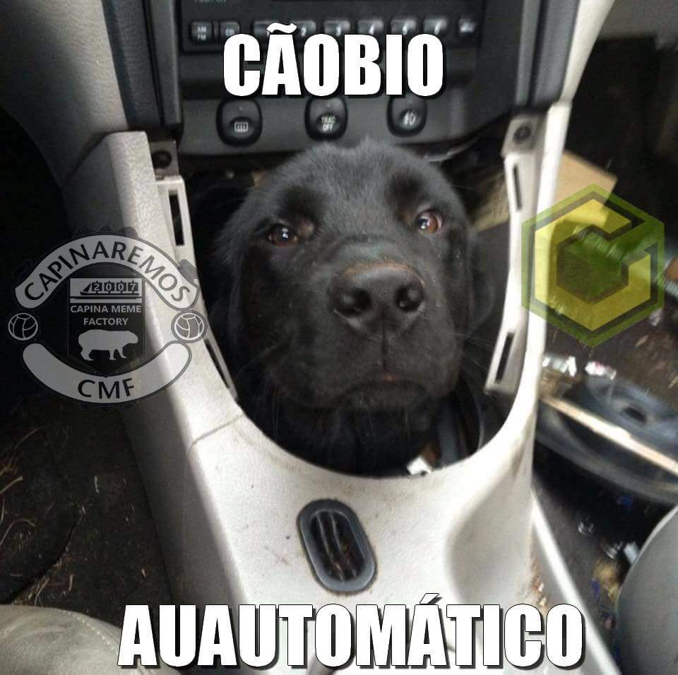 Rodrigo Garcia (@rodrigo_afg) on Twitter photo 