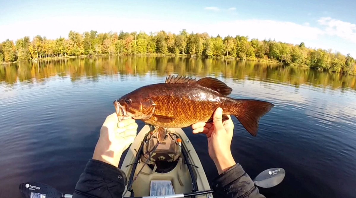 WaterNinja11's tweet photo. Video: https://t.co/Q7Eywfi3PK Never thought I'd get this much hits on the Pompadour with small mouths. Was fun ass hell!!! xD Do me a favor and hit that "Subscribe" button if you'd enjoy this video. If not that's alright I still love you anyways. lol thanks for watching! #WaterN https://t.co/Le55XBOagH