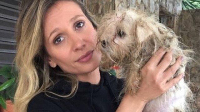 jornalextra's tweet photo. Com apoio da polícia, Luisa Mell resgata 135 cães de canil certificado: 'Filme de terror' https://t.co/BclJJVFawF https://t.co/Mn1bZCC5I6