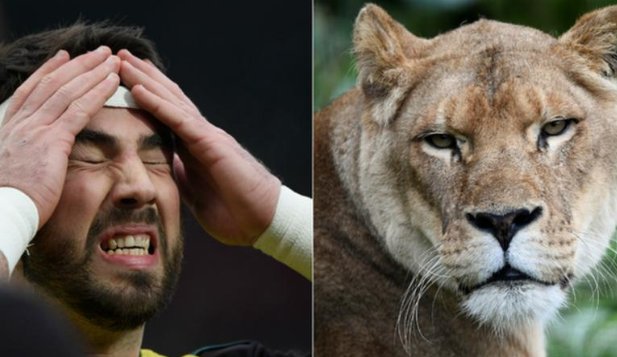 Heard the one about the Welsh international rugby player who missed his last game because he was bitten by a lion? bbc.in/2yxV6QC