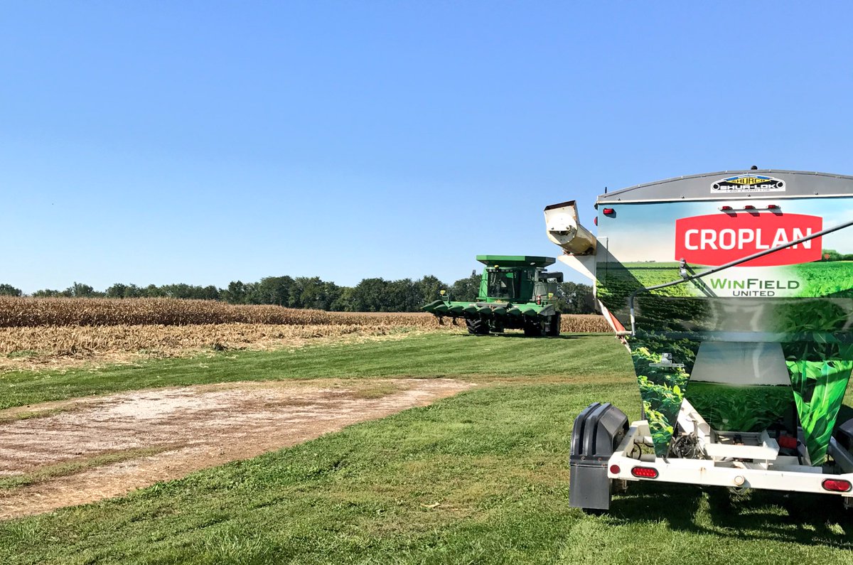 cornsilkk's tweet photo. First competitor corn plot out today! Best DKC 64-87 at 263.9 bu (1of28) Best CROPLAN 4791 262.6 bu (2of28) #myfarmmyyield #CroplanHarvest17 https://t.co/dOWsS6vk4V
