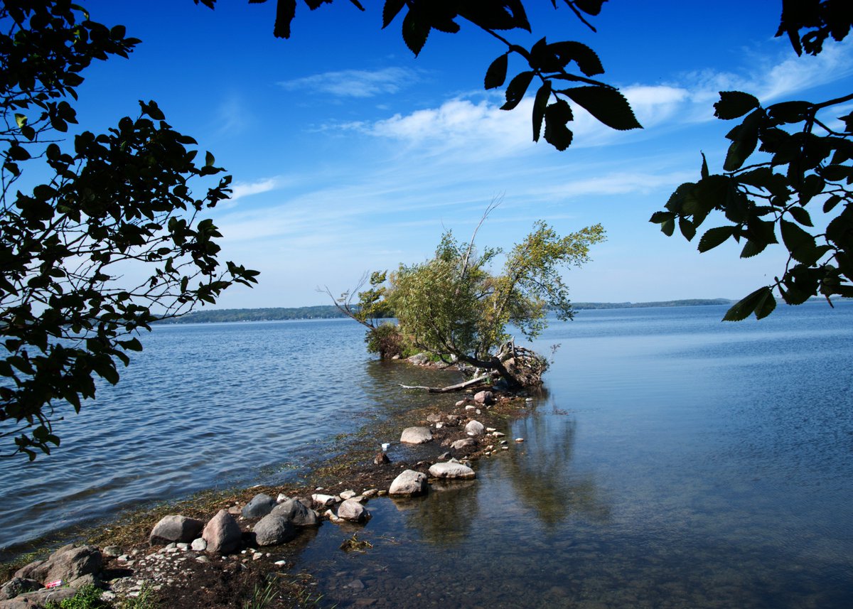BillcArthur's tweet photo. #RiceLake looking good earlier this week in the great weather. #fallsummer #fishing #causeway #TicIsland #GoresLanding @NorthumberlandT https://t.co/HRtNm0zqsM