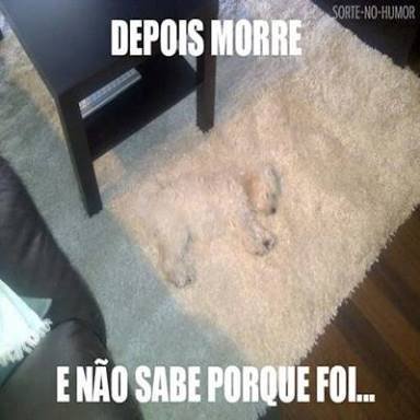 #BetaQuerLab #BetaAjudaBeta