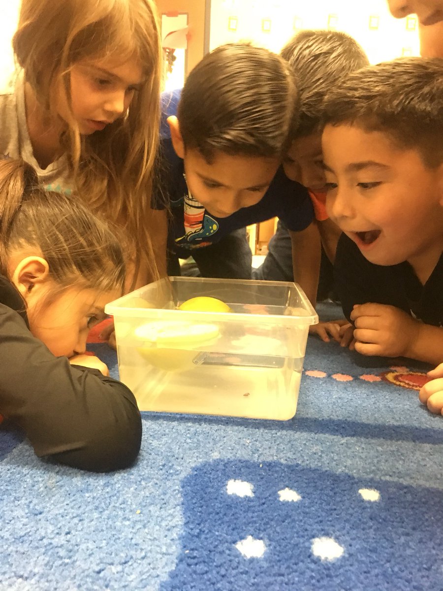 KinderAguirre's tweet image. Pioneers inquiring about apples today! ##IBPerez @perezpioneers #iteachk #applescience