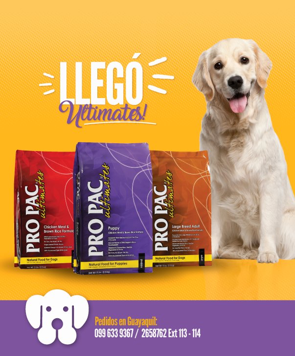 propacec's tweet photo. ¡Llegó #PropacUltimates! Puedes hacer tu pedido a domicilio al:
📞 2658762 Ext 113 - 114 / 099 633 9367
O visita nuestro Showroom. https://t.co/1j809Q99vZ
