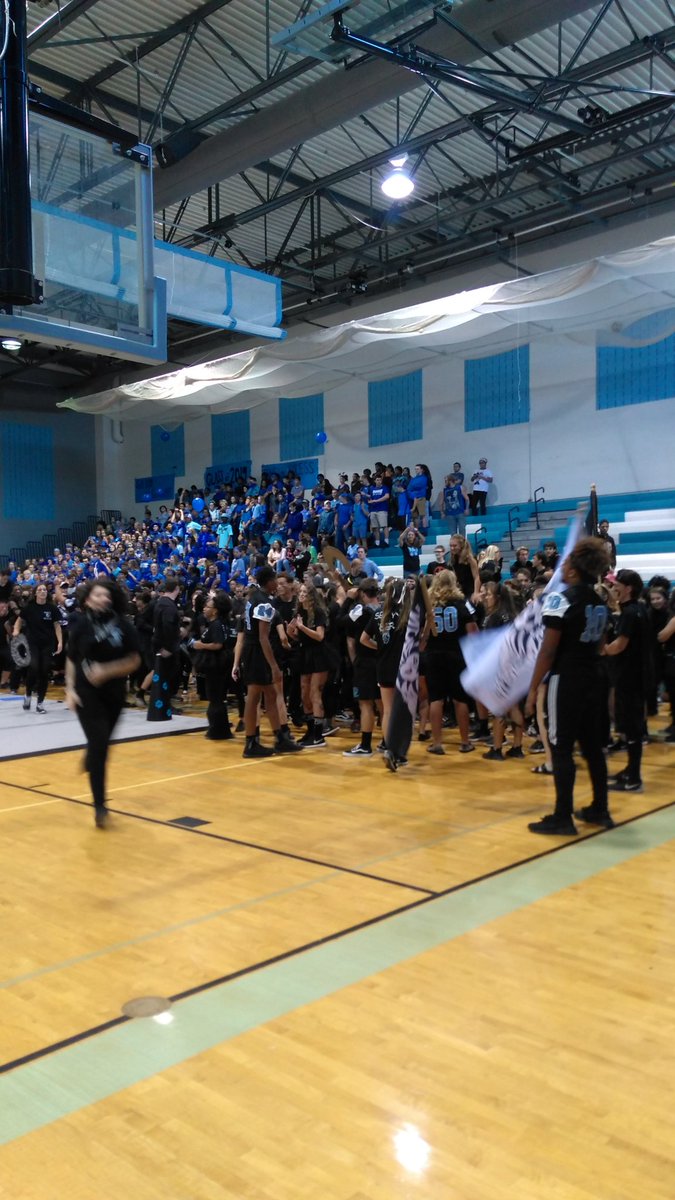 The LIONS showing their true Homecoming Spirit!!!! #WhsHoCo17