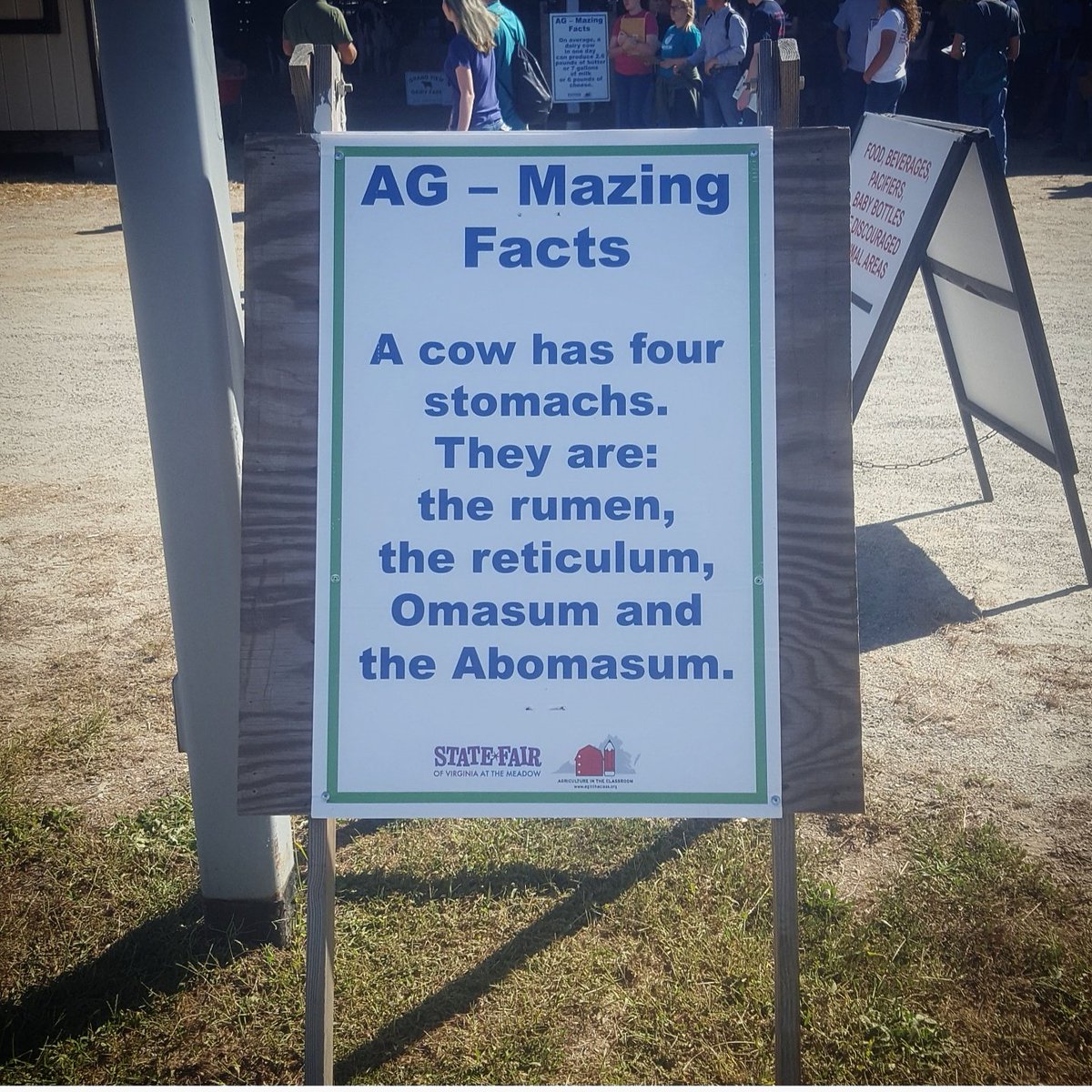 jratkins79's tweet photo. No, they have 1 stomach with 4 compartments... #fakenews #alternativefacts #themoreyouknow #cattle #ruminant https://t.co/boyJYNythb