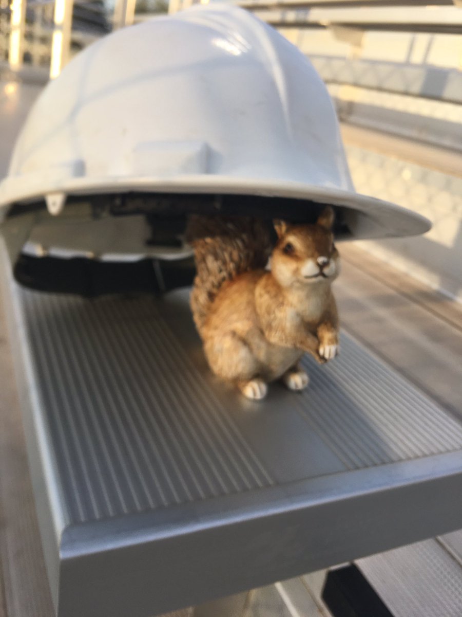 ShmurdaSquirrel's tweet photo. I slacked this week but we are about to play Edmond Memorial. If you can't make it send support over twitter. #RubTheTail https://t.co/vCZXE7fFsP
