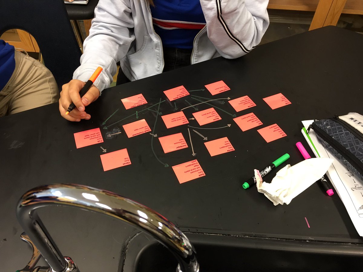DrMPatel9's tweet photo. PreAP Biology kids making food web connections (learning Ecology) https://t.co/auwS0FzDLI