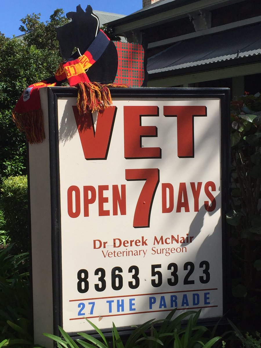 Go the Crows! From the Parade Norwood Vet Clinic