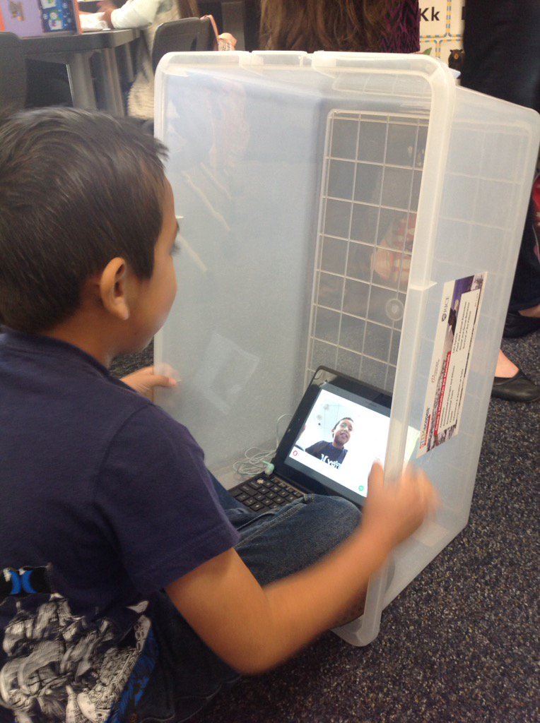 Ss celebrating the end of Stone Fox, retelling and sharing the special moment using Flipgrid#thormanGRIT #weareTUSD