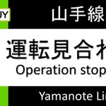 山手線の運転見合わせの原因は鳥w高田馬場で駅員さんが鳥を相手に奮闘!