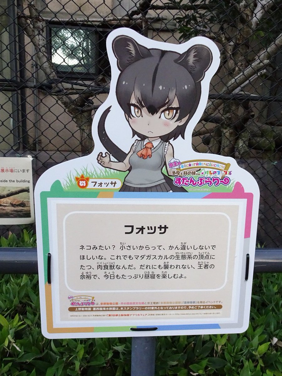 تويتر 上野動物園 公式 على تويتر 多摩動物公園と井の頭自然文化園で開催中の 京王の電車に乗って動物たちに会いに行こう 多摩 井の頭zoo けものフレンズ すたんぷらりー のお知らせをかねた解説パネルが 上野動物園にもお目見えしました 園内３ヶ所に