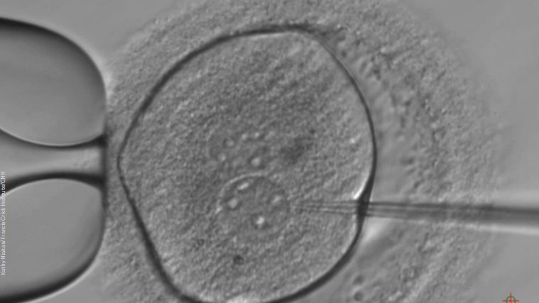 Scientists edit gene for blood disease in human embryos bit.ly/2fYc4R4?utm_me… https://t.co/xnH2uDsWnS