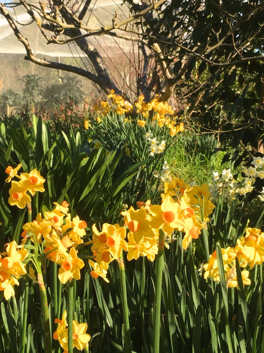 otwaylifemag's tweet photo. How does YOUR garden grow? https://t.co/39DBnEQmBT https://t.co/kBjF4cEXzT