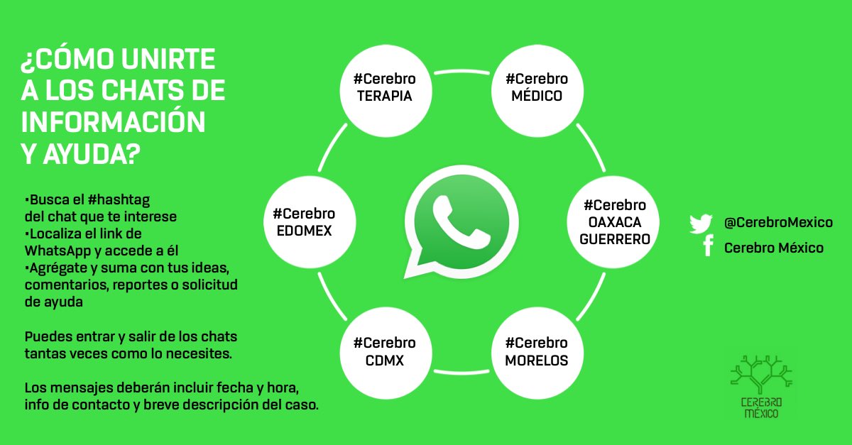 CerebroMexico's tweet image. Dona unas horas de tu fin de semana. La ayuda aún es necesaria. ES MUY SENCILLO UNIRTE A CEREBRO MÉXICO Y APORTAR. #MexicoEstaDePie #19s