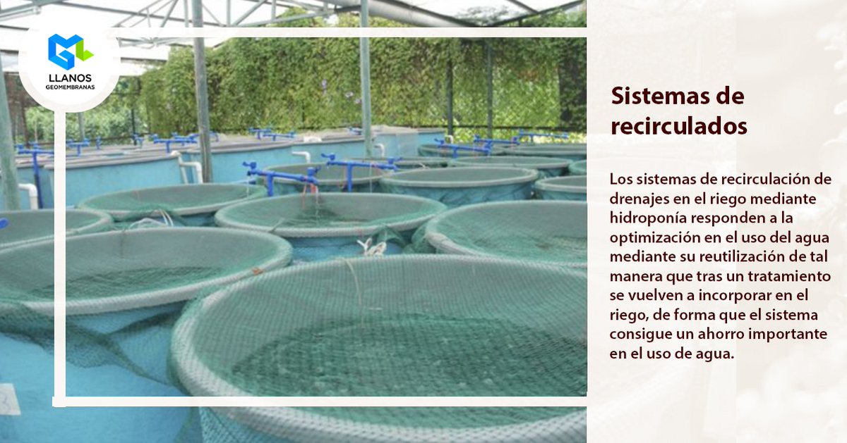 GeomembranasLL's tweet image. Responden a la optimización en el uso del agua mediante su reutilización ya que tras un tratamiento se vuelven a incorporar en el riego.