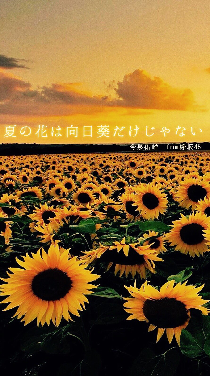 美々 加工アカ 欅美加 Happy Birthday 今泉佑唯 夏の花は向日葵だけじゃない ロック画面推奨 保存の際はいいね 欅坂46 夏の花は向日葵だけじゃない 今泉佑唯誕生祭17 T Co Pdsojcu3ve Twitter