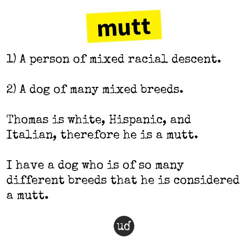 Urban Dictionary on Twitter "mutt 1) A person of mixed racial descent