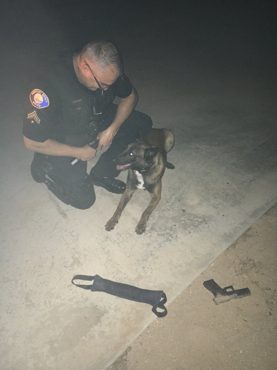 NewportBeachPD's tweet photo. “Hodni!” (Good boy!) #NBPDK9 #NBPDVRA https://t.co/RCOrHEjsxh